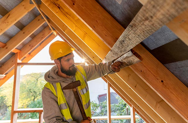 Expert Roofing Solutions