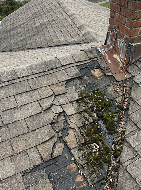 Why Choose Monumental Roofing Services